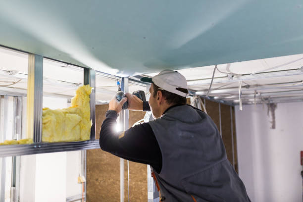 Best Insulation Repair Services  in Mikes, TX