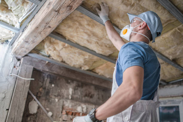 Best Spray Foam Insulation  in Mikes, TX