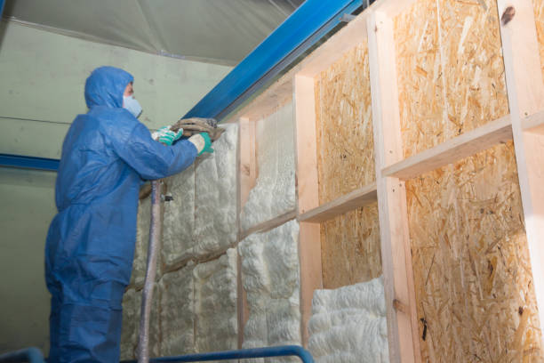 Best Insulation Removal  in Mikes, TX