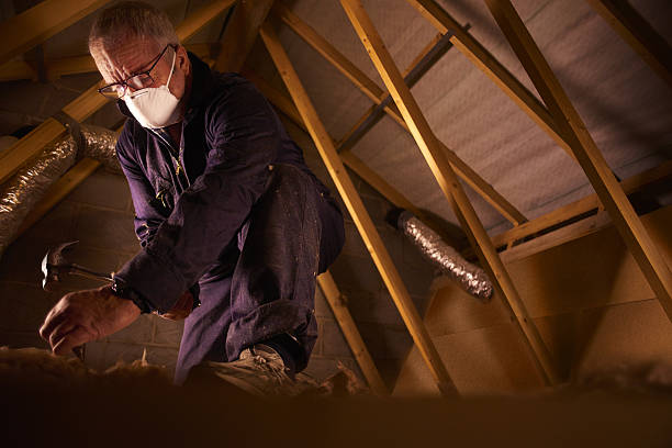 Best Insulation Repair Services  in Mikes, TX